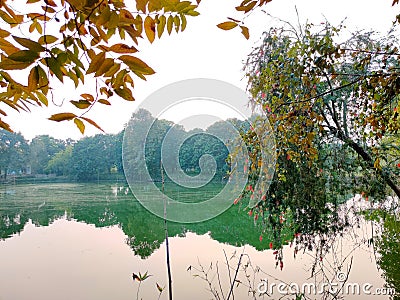 A beautiful natur view with pond Stock Photo