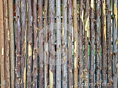 Beautiful Natural Background Pattern of a Log Wall Stock Photo