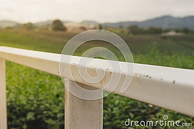 Beautiful natural background. Stock Photo