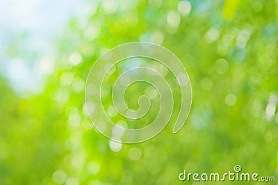 Beautiful natural bokeh Stock Photo