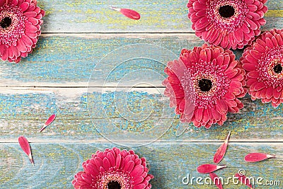 Beautiful natural gerbera daisy flower greeting card for mother or womans day background. Top view. Vintage style. Stock Photo