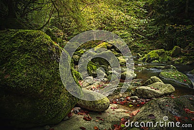 Beautiful natural landscape in Bavarian forest with greenery and River Wolfensteiner Ohe in Germany Stock Photo