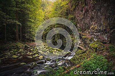 Beautiful natural landscape in Bavarian forest with greenery and River Wolfensteiner Ohe in Germany Stock Photo
