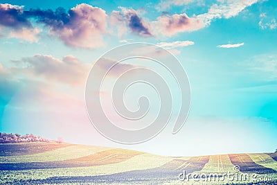 Beautiful natural landscape, field, beveled stripes in the sunlight, with a sunset sky, blurred background Stock Photo