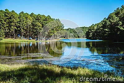 Beautiful natural landscape with fog floating on the lake surface in the sunrise at Pang-ung Stock Photo