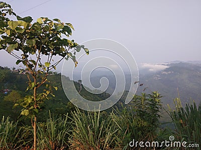 beautiful natural picturesque hill greenery Stock Photo