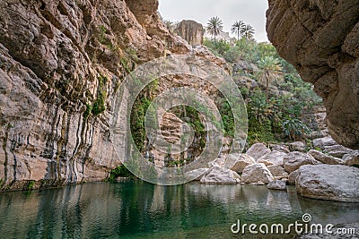 Beautiful natural pool in the gorge of Wadi Tiwi, Oman. Green water with sandstone cliffs and palm trees around it. Stock Photo