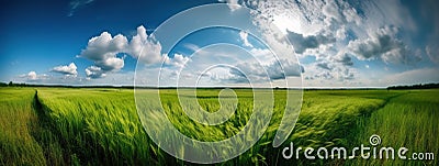 Beautiful natural scenic panorama green field of cut grass into and blue sky with clouds on horizon. Stock Photo