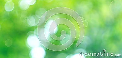 Beautiful nature abstract blurred background. Summer green bokeh backdrop Stock Photo