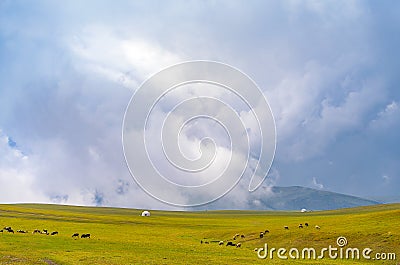 Beautiful nature of Kazakhstan on the Assy plateau. White yurt with grazing animals nearby under the rain clouds. Stock Photo