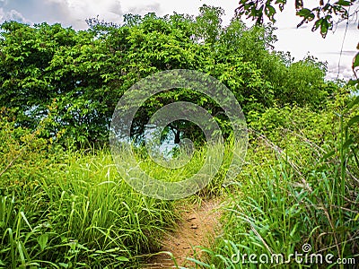 Beautiful nature in Khao Laem Ya Nation Stock Photo