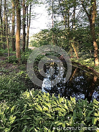 Beautiful nature make it time to be relaxing Stock Photo