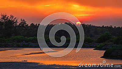 Beautiful Nature Reserve at Sunset in Thailand Stock Photo