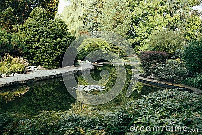 Beautiful nature view of the eco pond of the Botanical garden in Krakow, Poland Stock Photo