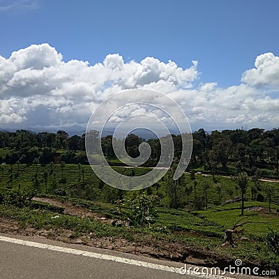 Beautiful nature view of kerala under blue sky with road side green treeplants Stock Photo