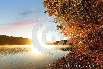 Beautiful New England Fall Foliage with reflections at sunrise, Boston Massachusetts. Stock Photo