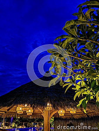 Beautiful Night in the Cafetaria Stock Photo