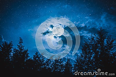 Beautiful night sky with many stars and full moon behind partial cloudy above silhouettes of trees. Serenity nature background. Stock Photo