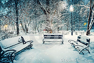 Beautiful magic night snowfall in park. Mist snow blizzard storm Stock Photo