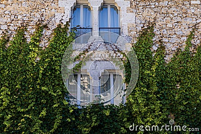 beautiful old stone building with green ivy on wall and decorative windows Stock Photo