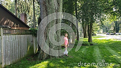 Beautiful old tree in the park cool Editorial Stock Photo