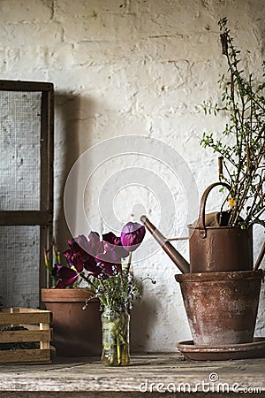 Beautiful old vintage English countryside garden potting shed in Stock Photo