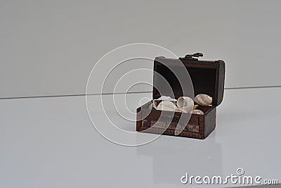 Miniature chest with sea shells. Brazil, South America Stock Photo