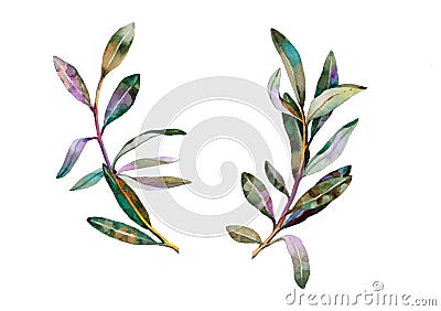 Beautiful olive branches without olives isolated on a white background in a retro style. Stock Photo