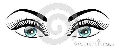 Beautiful open blue eyes with long black lashes The distinctive feminine look Vector Illustration