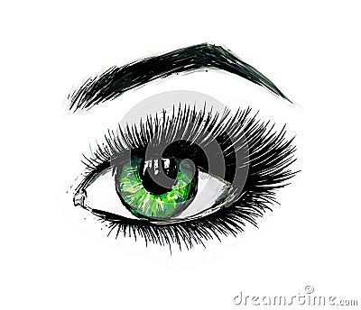 Beautiful open female green eye with long eyelashes is isolated on a white background. Makeup template illustration Cartoon Illustration