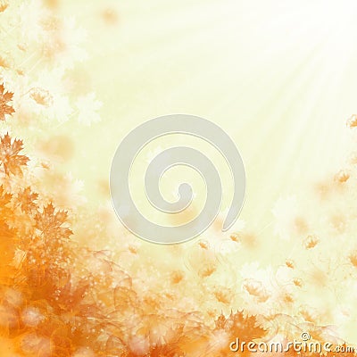 Beautiful orange flowers background Stock Photo