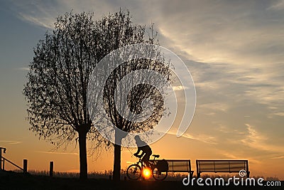 Sunrise with silhouet of trees and cyclist Stock Photo