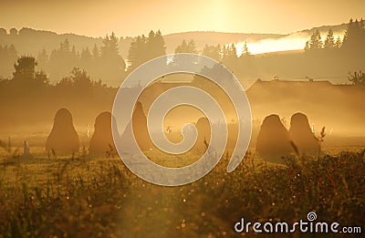 Beautiful orange sunrise and fog Stock Photo