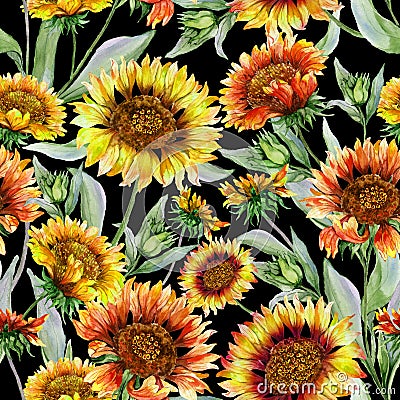 Beautiful orange and yellow coreopsis flowers with leaves on black background. Seamless botanical pattern. Watercolor painting. Cartoon Illustration