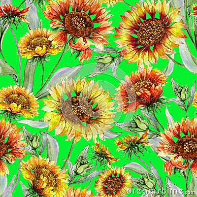 Beautiful orange and yellow coreopsis flowers with leaves on chartreuse background. Seamless botanical pattern. Cartoon Illustration