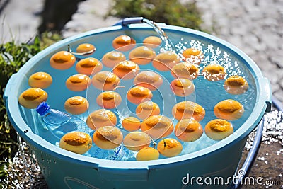 Beautiful oranges cooling in bowl with water, Chefchouen, Morocco Stock Photo