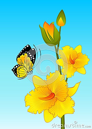 Beautiful orchid Vector Illustration