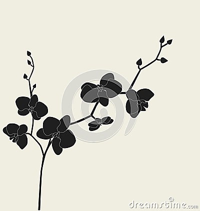 Beautiful orchid branch Vector Illustration