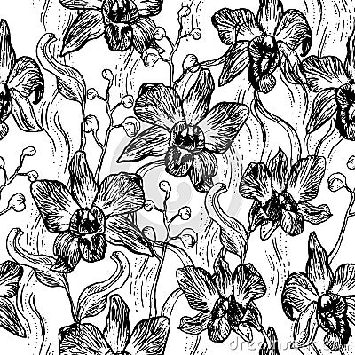 Beautiful Orchid. Hand drawn set isolated on white background black contour sketch seamless pattern, card banner design. Vector Vector Illustration