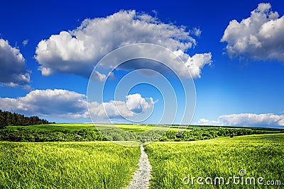 Beautiful organic agriculture Stock Photo