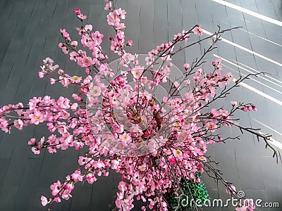 beautiful ornament sakura flowers for decorating interior room Stock Photo