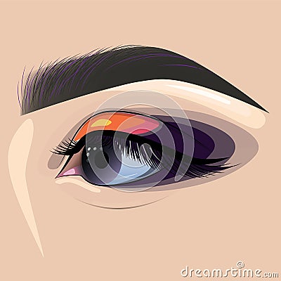 Beautiful painted female eye and eyebrow for fashion design Vector Illustration