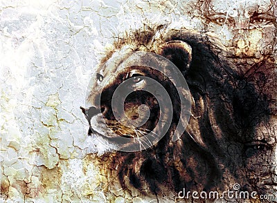 Beautiful painting of a lion head and mystic faces with a majesticaly peaceful expression desert pattern. Stock Photo