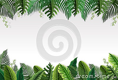 Beautiful palm leaf border Vector Illustration