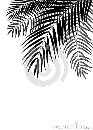 Beautiful Palm Tree Leaf Silhouette Background Vector Vector Illustration