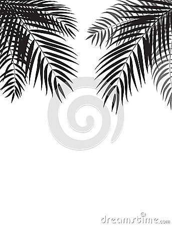 Beautiful Palm Tree Leaf Silhouette Background Vector Vector Illustration