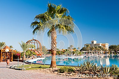 Beautiful palm tree near pool Stock Photo