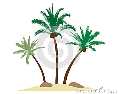 Beautiful palm trees with coconuts on island, sand, stones. Vector illustration Vector Illustration