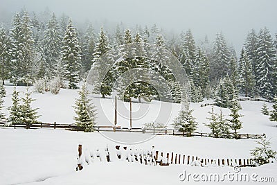 Beautiful panorama of fences Stock Photo