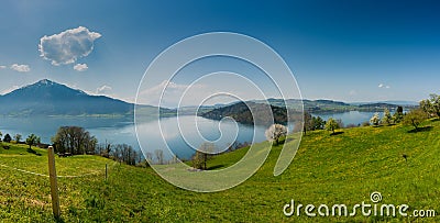 Beautiful panorama lakeside landscape in Switzerland with green fields and blossoming flowers and trees and mountains behind Stock Photo